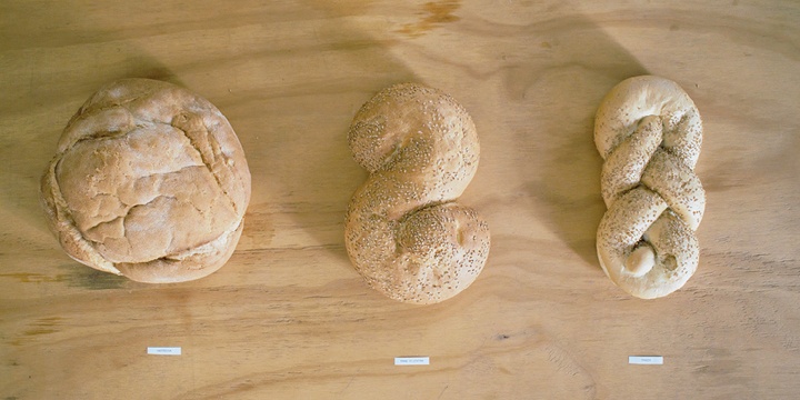Stefany Di Raimondo Pane